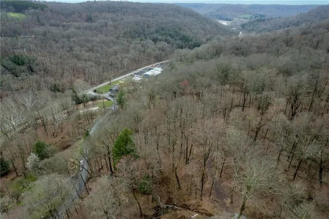 a view of a forest with a forest