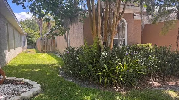 a view of a backyard