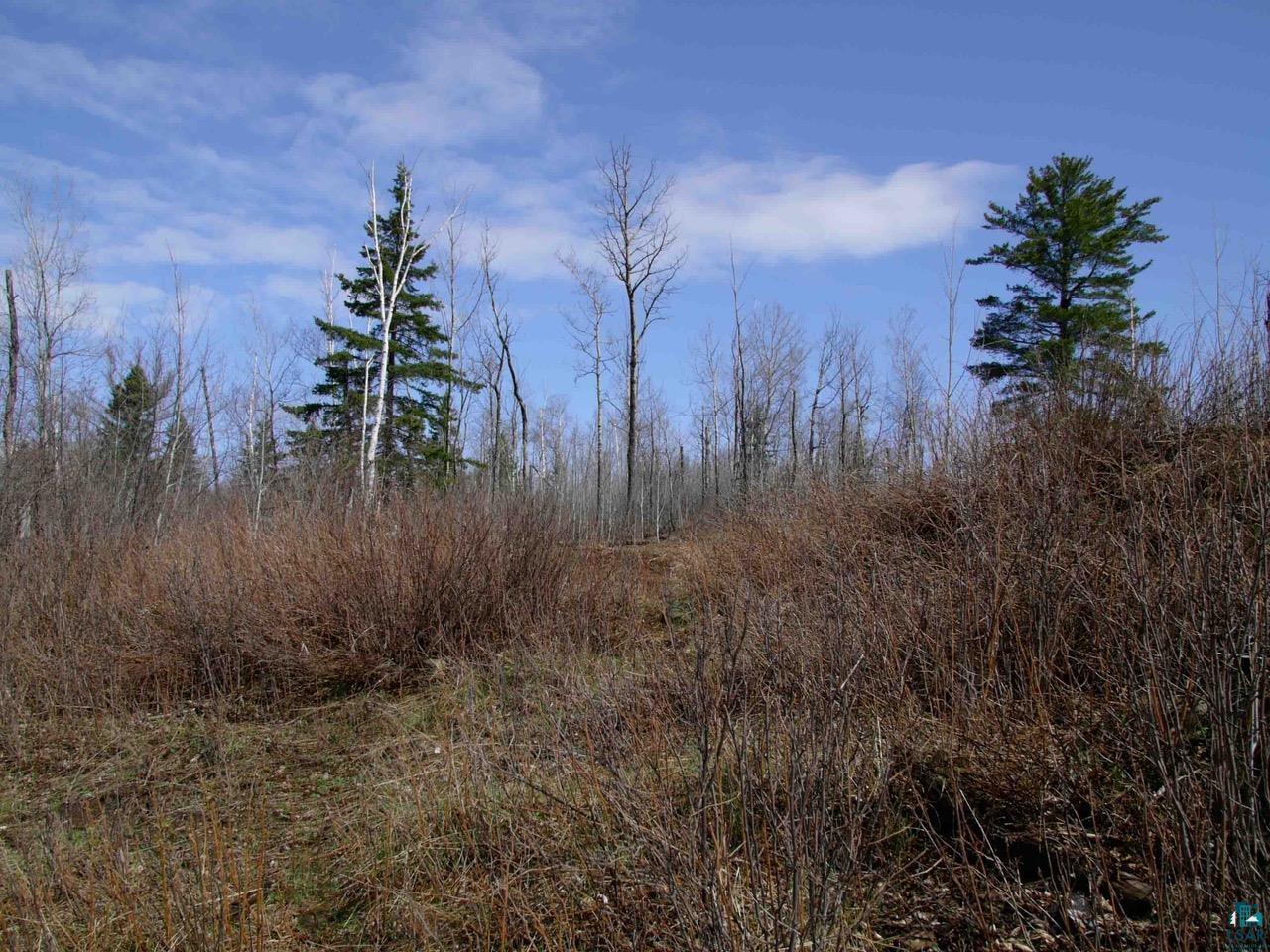 64 Bloomquist Mountain Road Grand Marais, MN 55604 - Photo 27 of 33