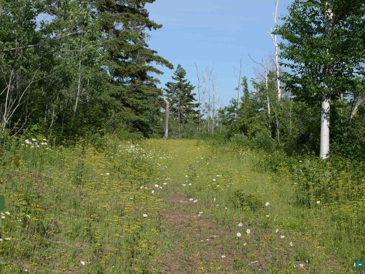 64 Bloomquist Mountain Road Grand Marais, MN 55604 - Photo 9 of 33