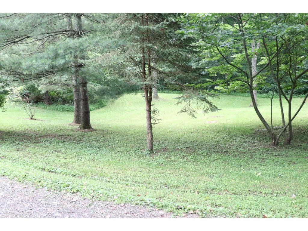 29073 Rhea Valley Road Meadowview, VA 24361 - Photo 22 of 22 Photo 24