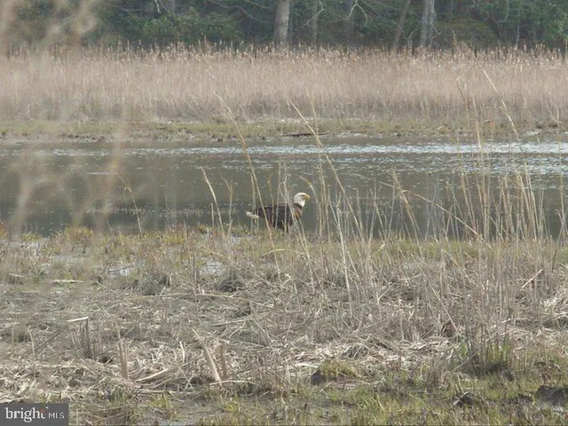 a view of a lake view
