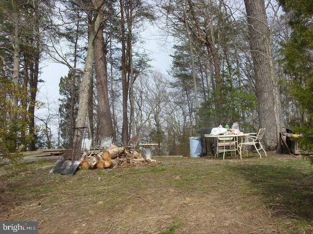 a view of a yard with a house and a tree