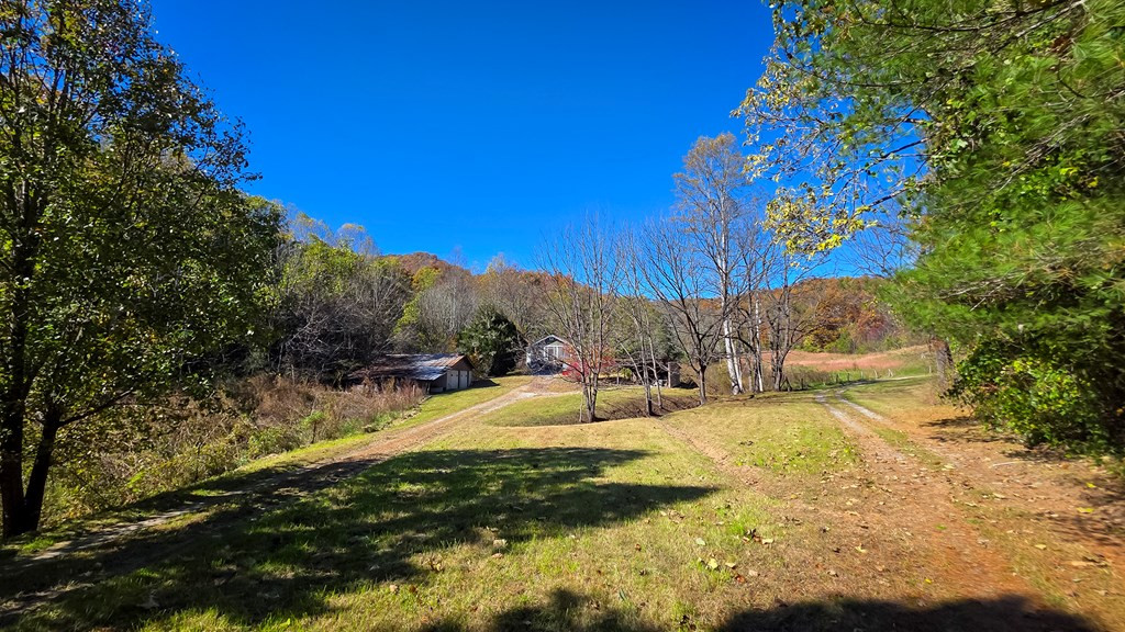 173-130 Edwards Cove Road Bryson City, NC 28713 - Photo 10 of 17