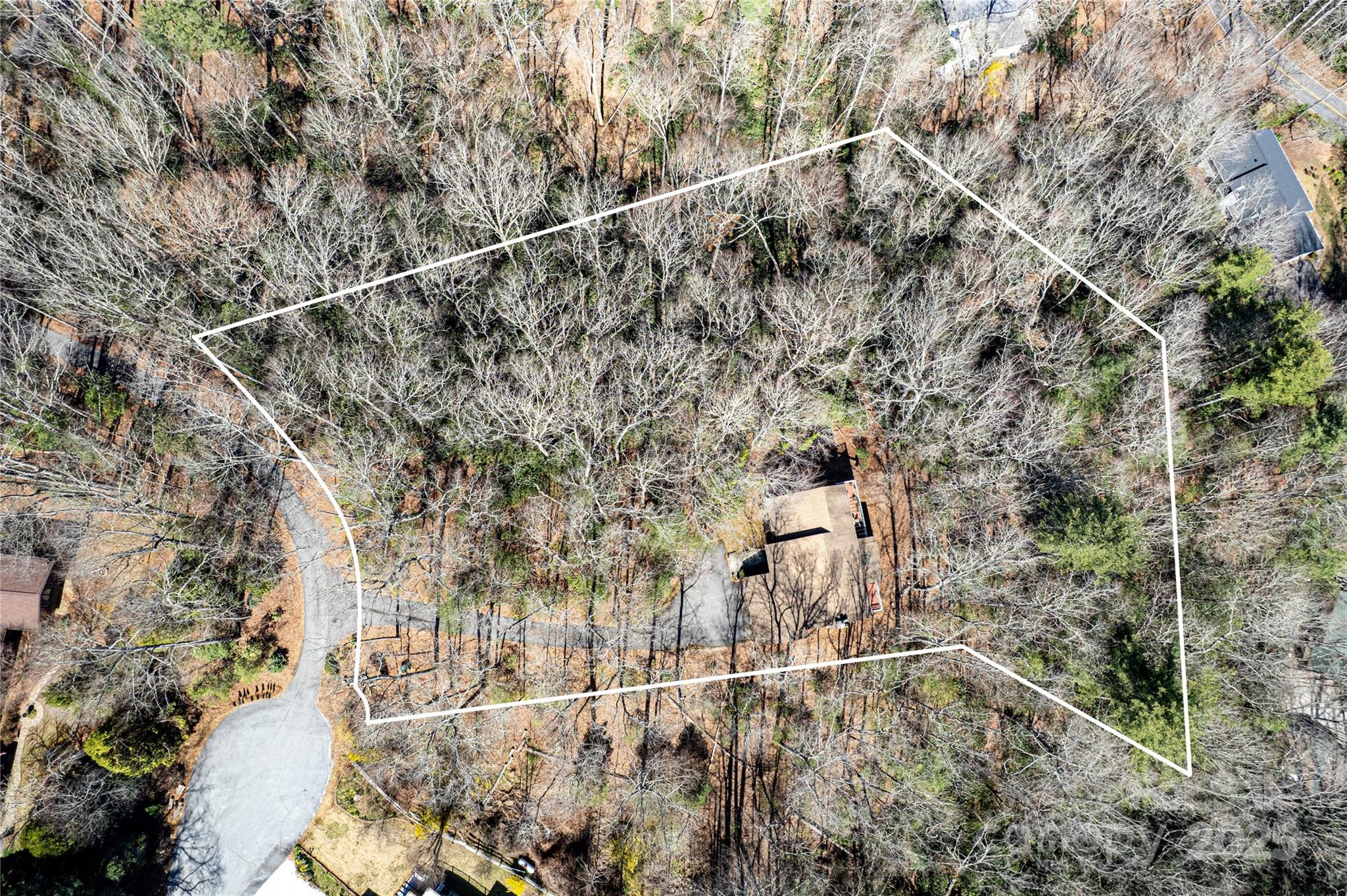 162 Southerland Road Pisgah Forest, NC 28768 - Photo 38 of 41 a view of a forest with a tree