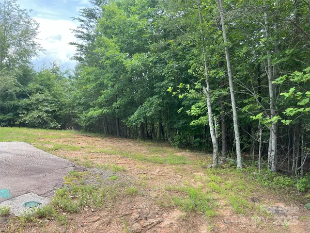 $93,000 | 0 Deep Gap Rd Mill Spring East, Unit 59, Mill Spring, NC 28756