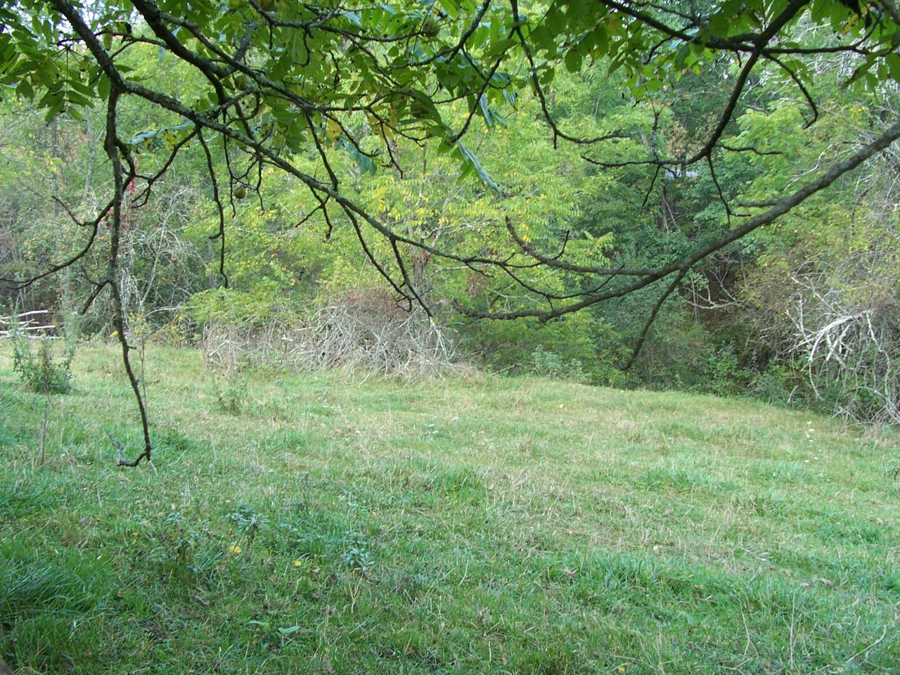 Hc 68 Germany Road Frankford, WV 24938 - Photo 5 of 5 View of property