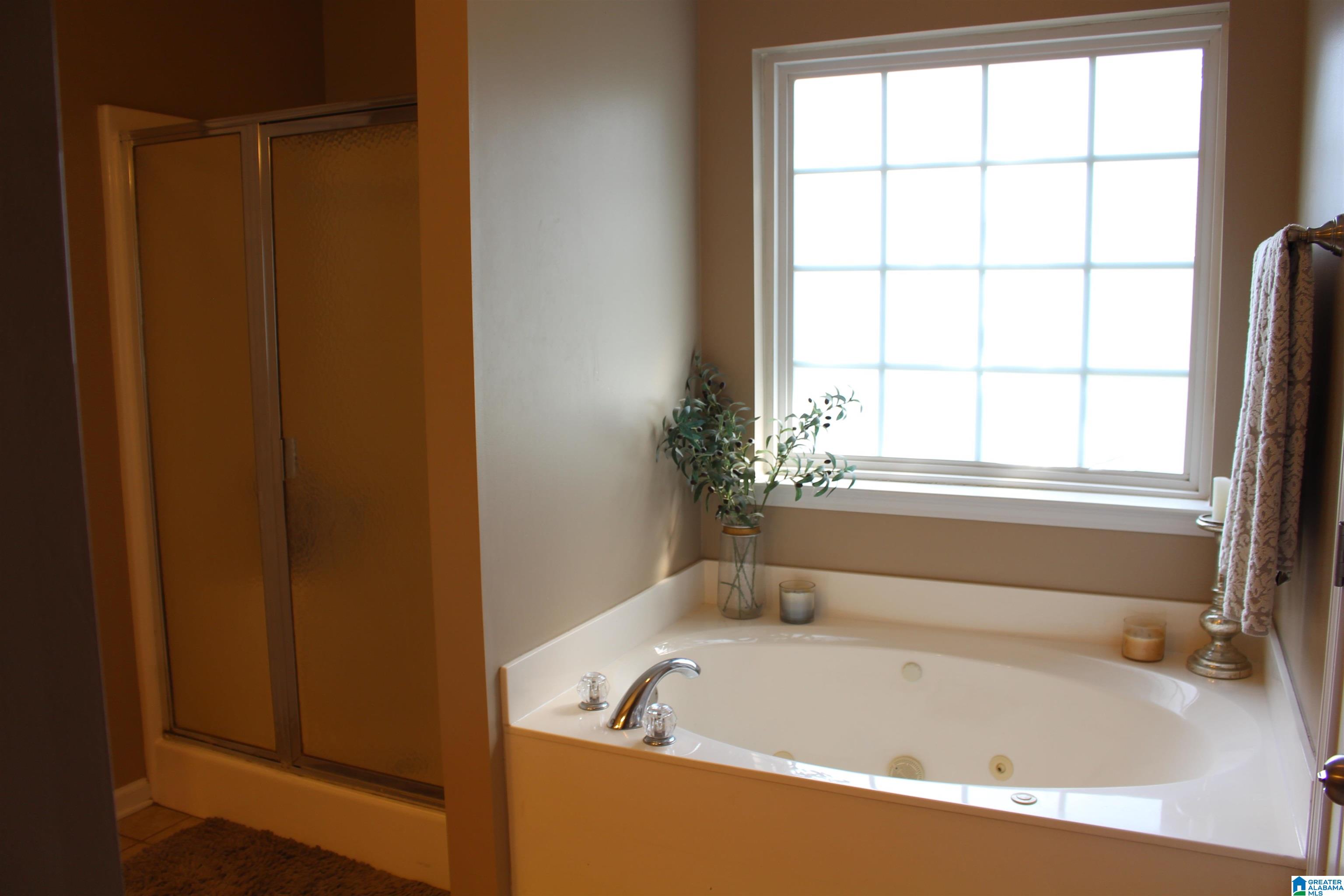 105 Astor Circle Chelsea, AL 35043 - Photo 17 of 35