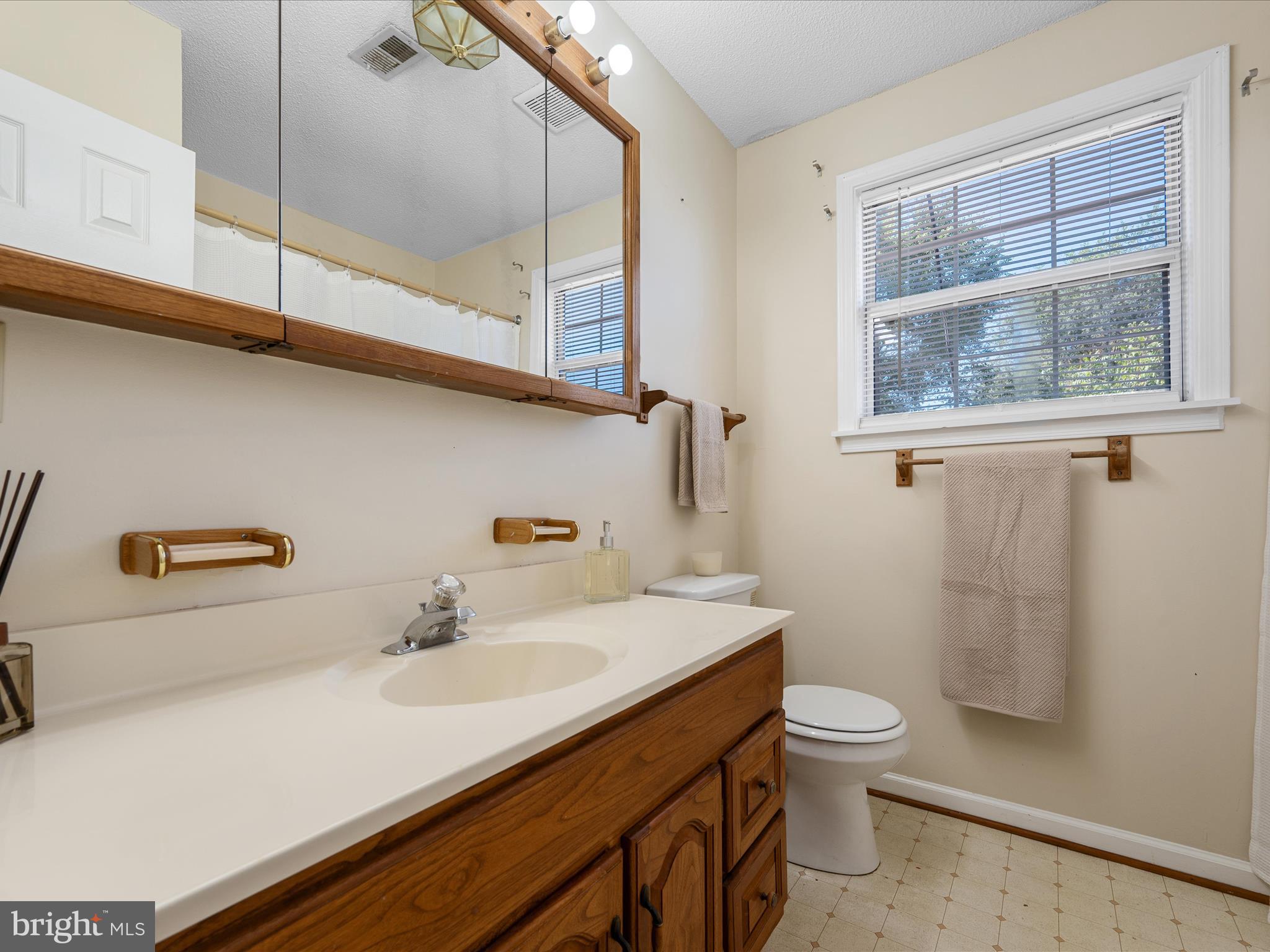 208 South Marshall Street Ranson, WV 25438 - Photo 18 of 28 a bathroom with a sink a toilet and a mirror