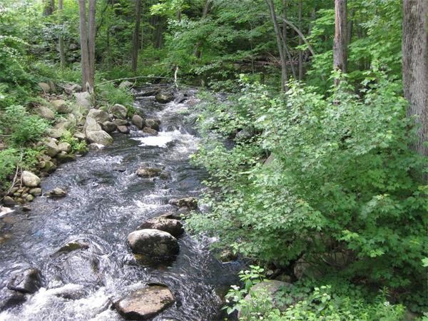 15 Town Farm Road Princeton, MA 01541 - Photo 3 of 30 Gallery Image 3