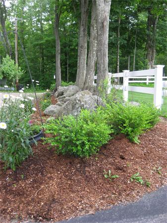 15 Town Farm Road Princeton, MA 01541 - Photo 4 of 30 Gallery Image 4