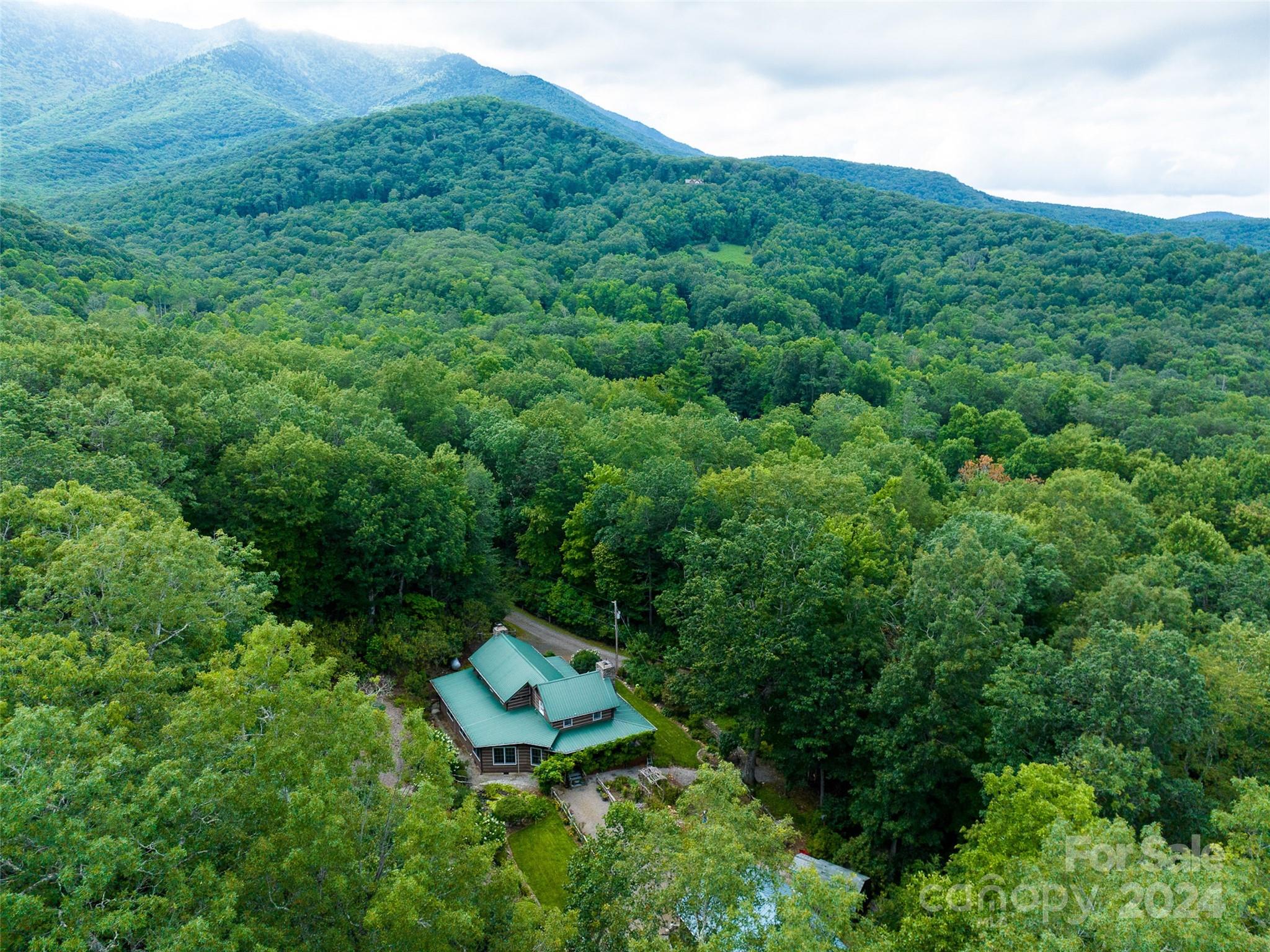619 Rhododendron Park Road Burnsville, NC 28714 - Photo 3 of 26 Gallery Image 3