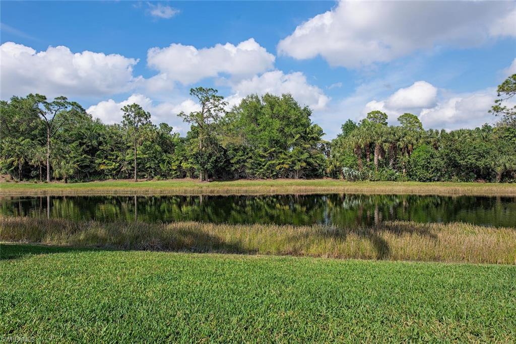 16631 Cortona Lane Naples, FL 34110 - Photo 15 of 39