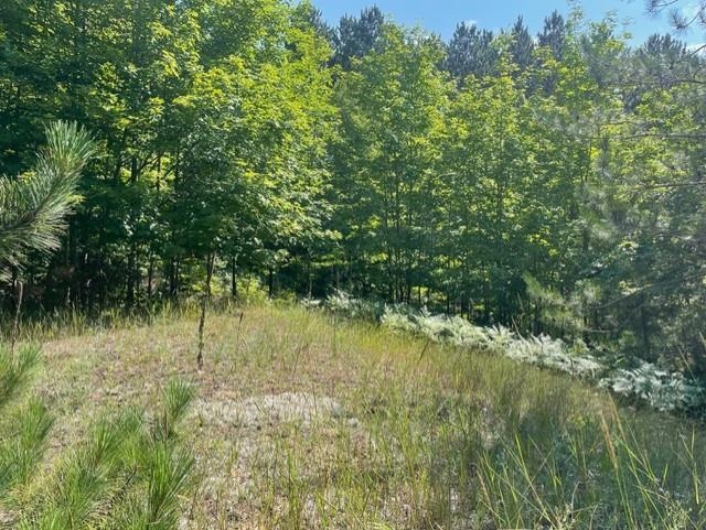 V/l V/l Windy Ridge Beulah, MI 49617 - Photo 12 of 20