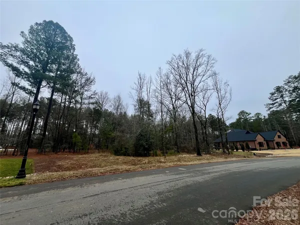 a view of a yard with trees in the background