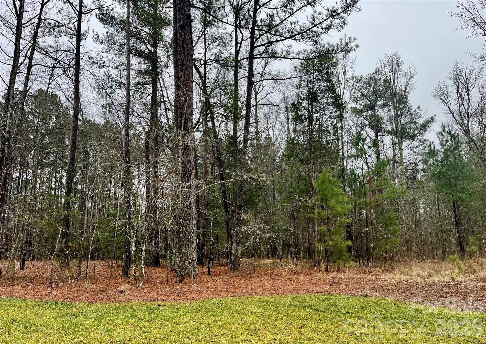 7949 Gulf Crk Road Lancaster, SC 29720 - Photo 14 of 34