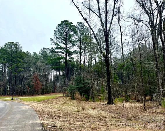 a view of a yard with large trees