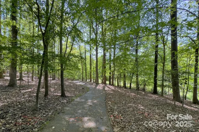 a view of a park with a tree