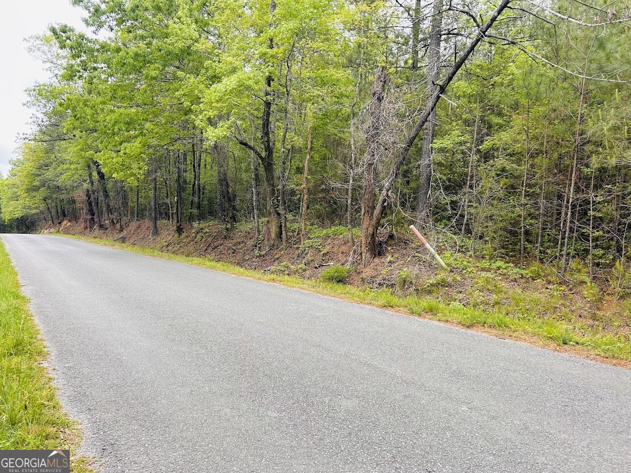 0 Marble Valley Road Sylacauga, AL 35151 - Photo 1 of 1