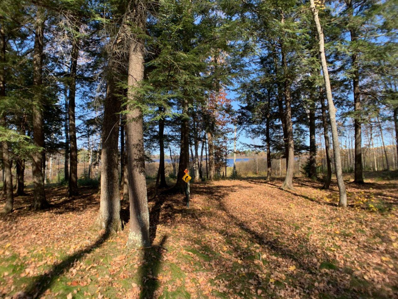 Lot2 Lot2 Cth Ff Mercer, WI 54547 - Photo 22 of 29 Gallery Image 22