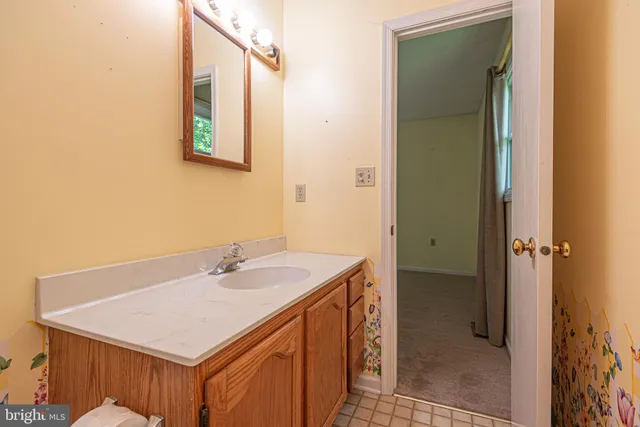 a bathroom with a sink vanity and a mirror