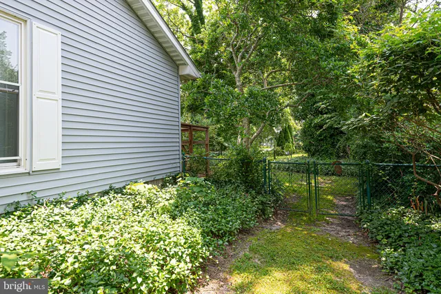 a view of a backyard