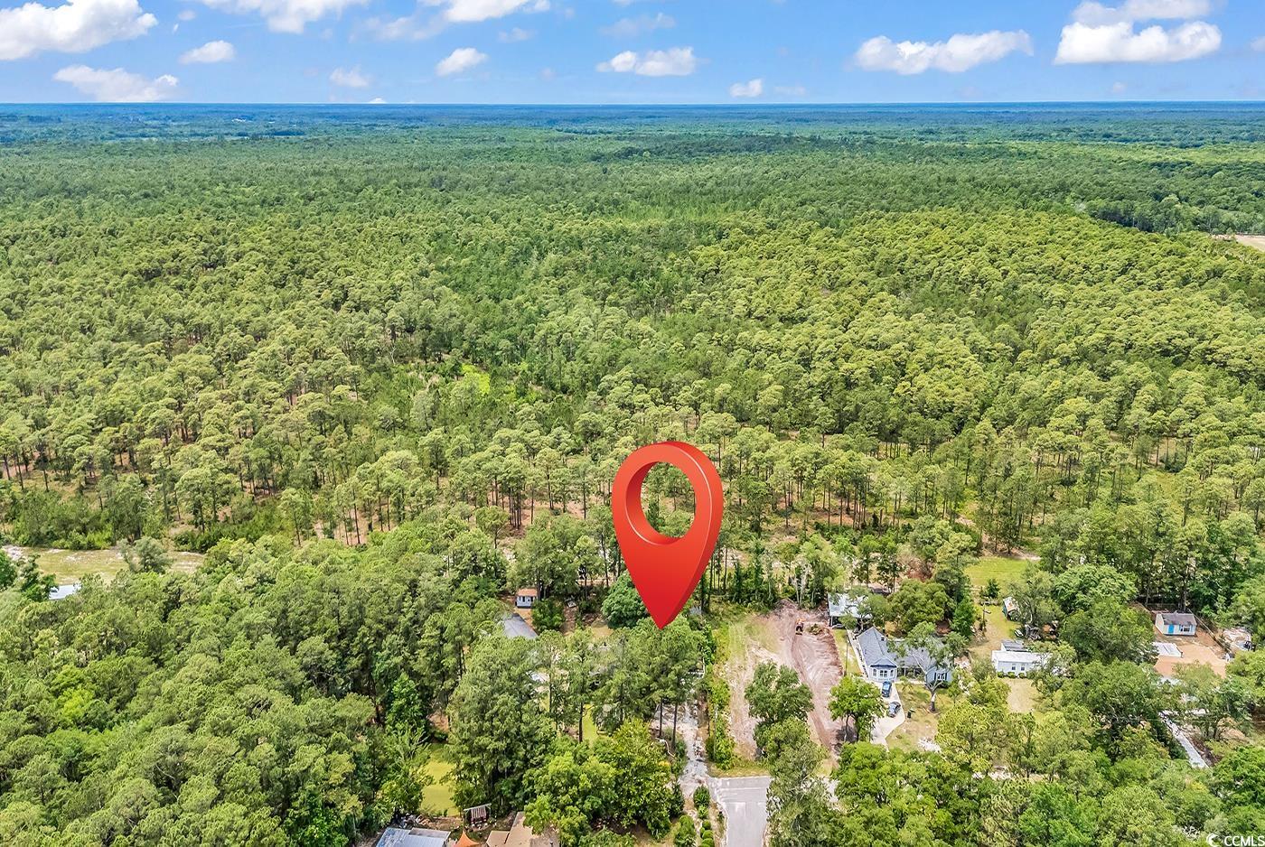 5114 Cowart Court Murrells Inlet, SC 29576 - Photo 35 of 38 View of property location featuring a heavily wood