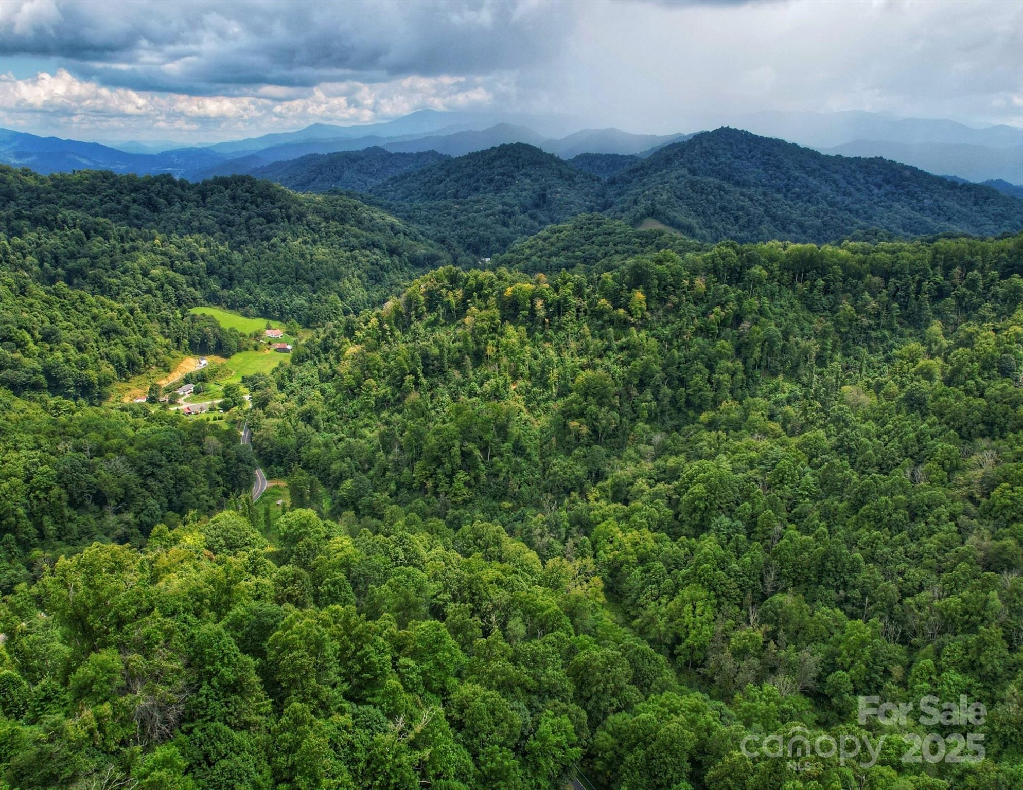 0 Windy Gap Road, Unit TRACT B Mars Hill, NC 28754 - Photo 2 of 5 a view of a lush green hillside and a mountain view