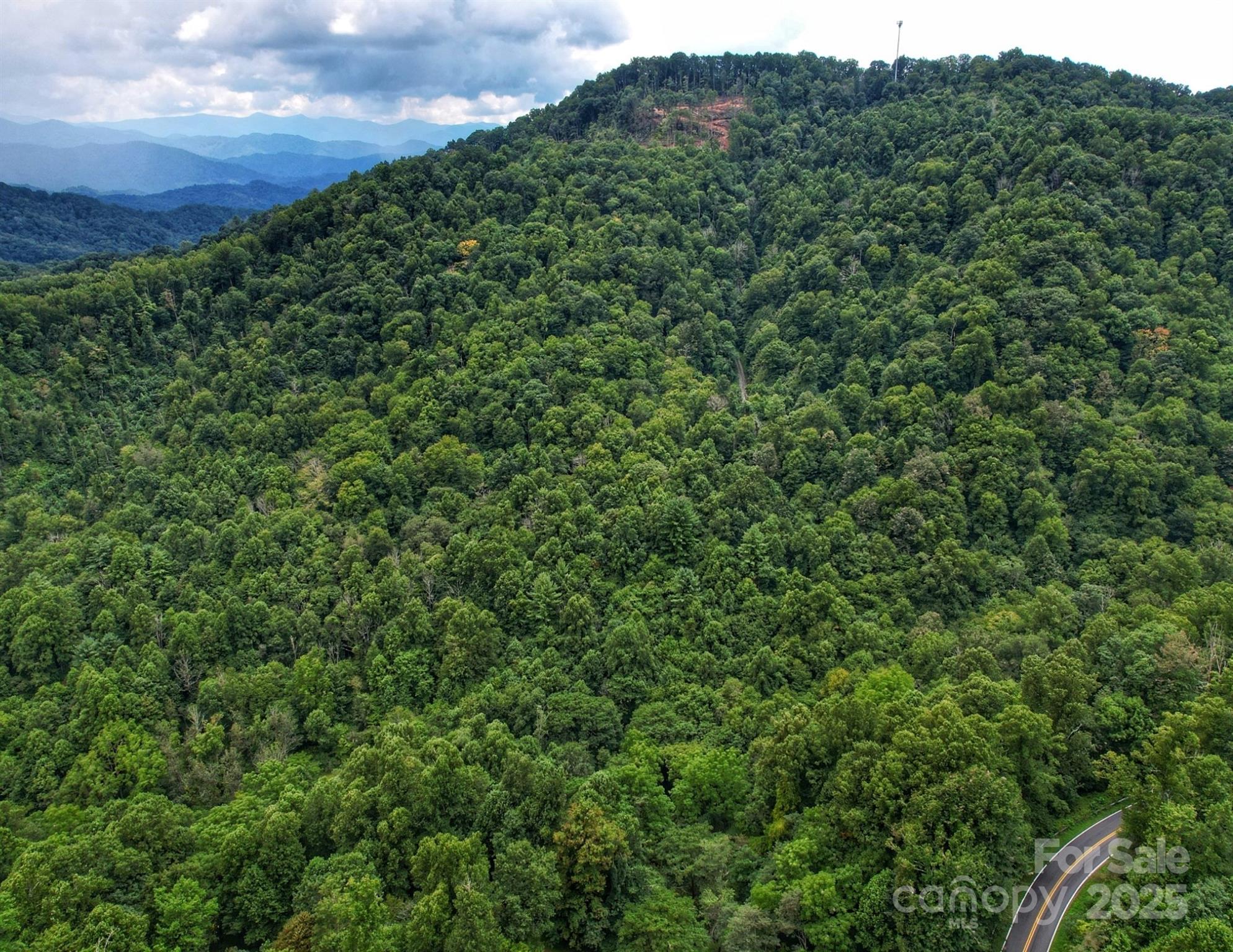 0 Windy Gap Road, Unit TRACT B Mars Hill, NC 28754 - Photo 3 of 5 a view of a lush green forest with trees in the background