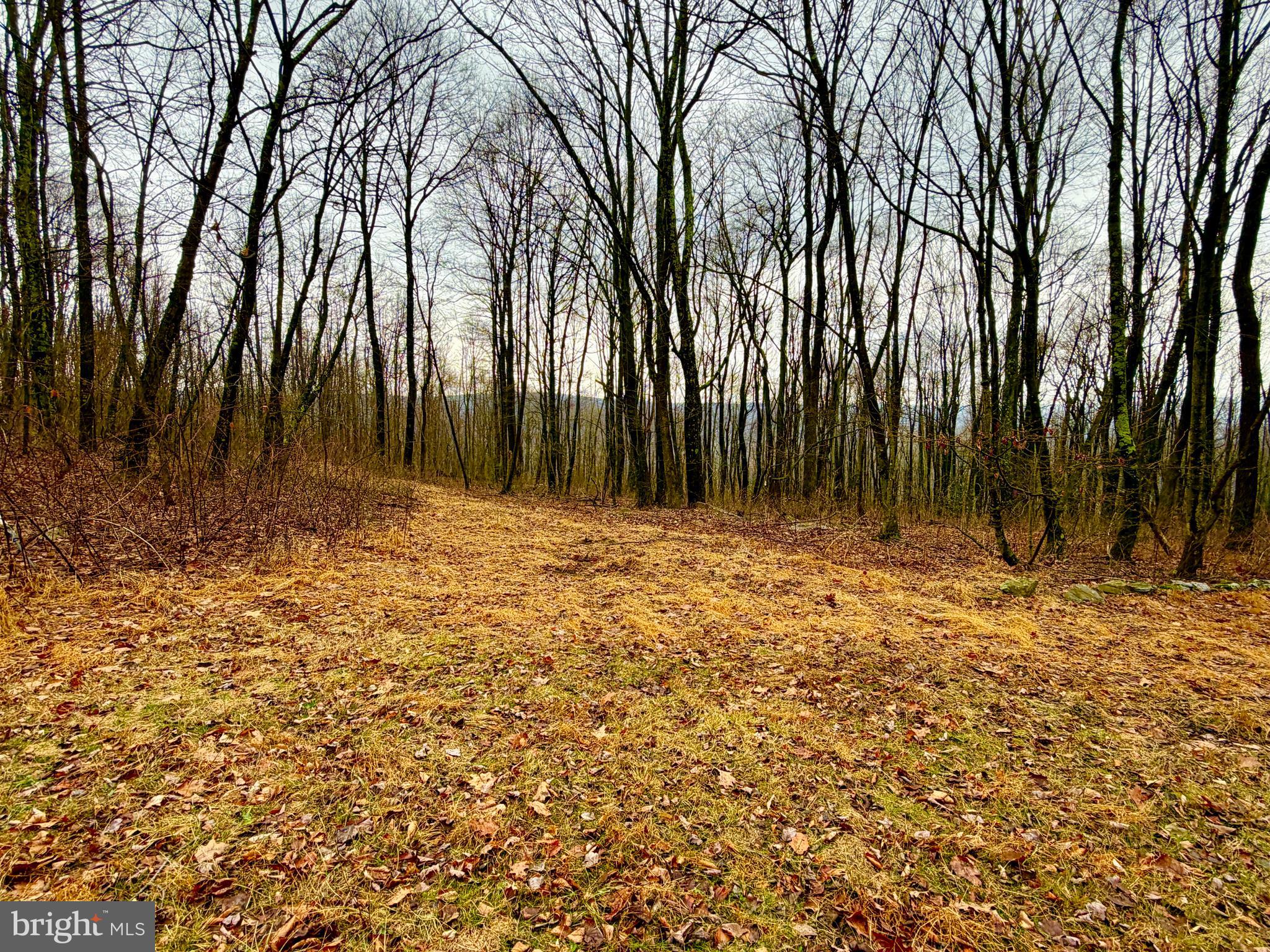 190 Thunder Rock Road Crystal Spring, PA 15536 - Photo 9 of 21