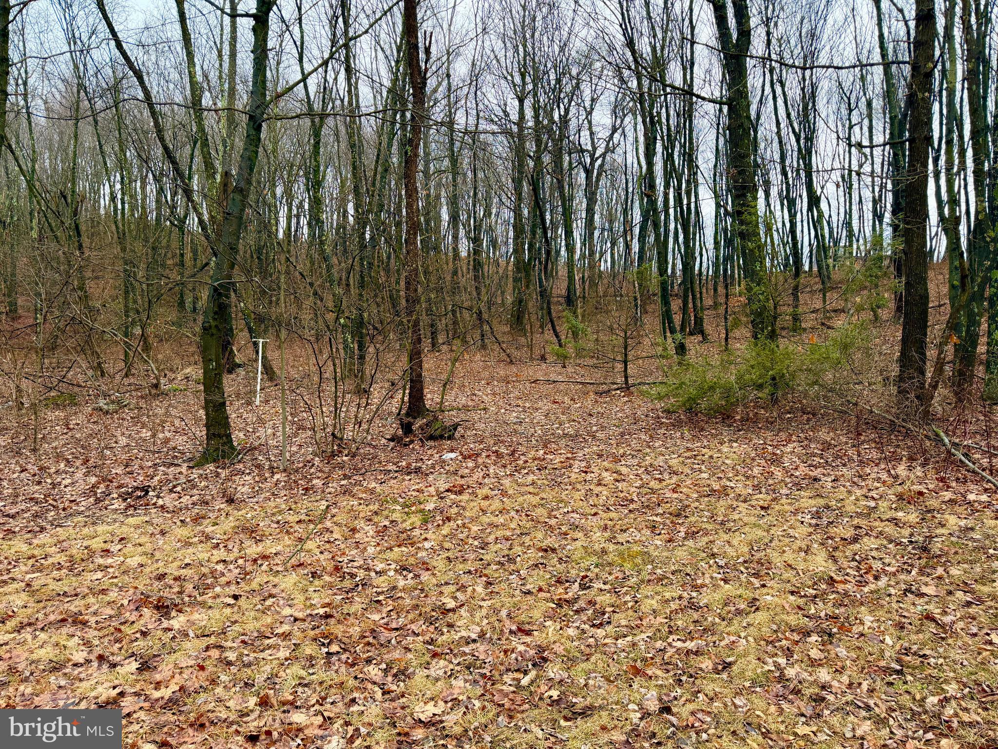 190 Thunder Rock Road Crystal Spring, PA 15536 - Photo 10 of 21