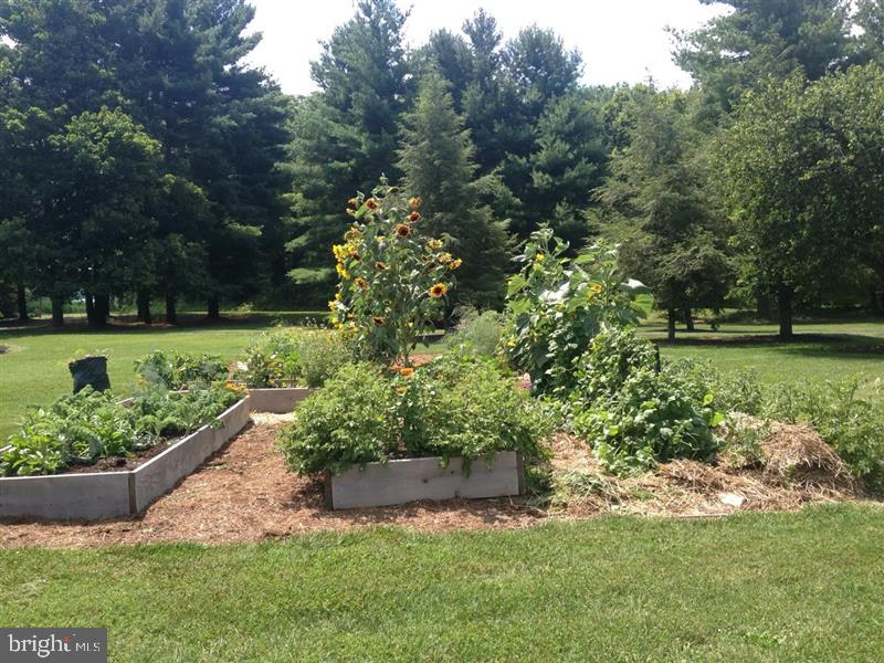 1-22020 Durberry Road Smithsburg, MD 21783 - Photo 131 of 138 a view of a garden with a bench