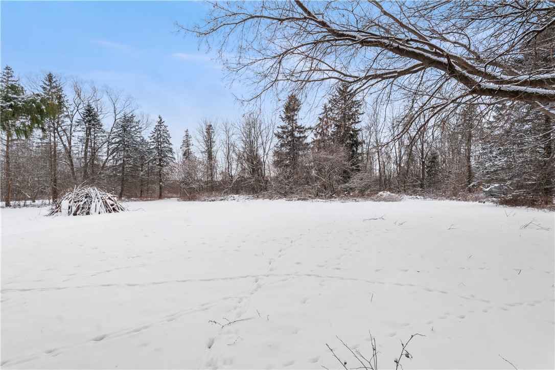 6168 Elm Street Conesus, NY 14435 - Photo 37 of 38