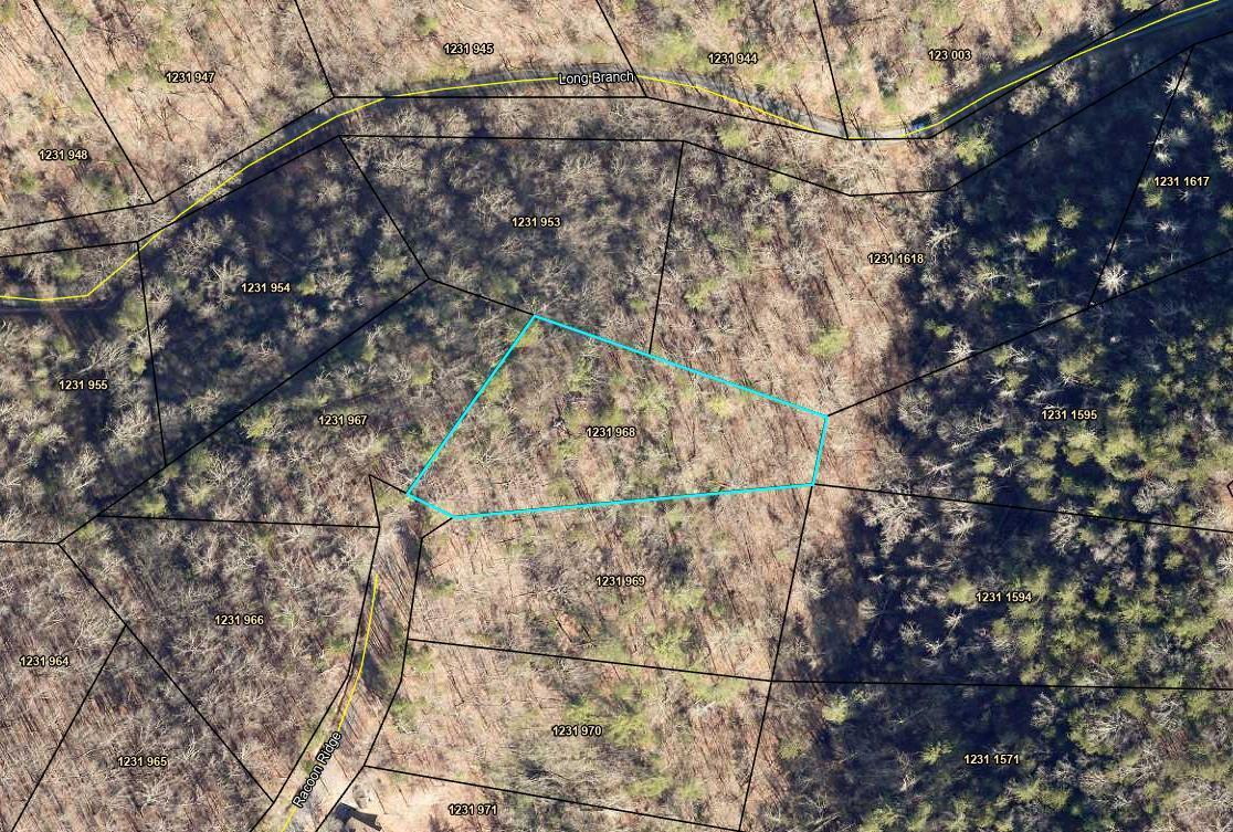 968 Raccoon Ridge Northeast Ranger, GA 30734 - Photo 14 of 15 map (41)