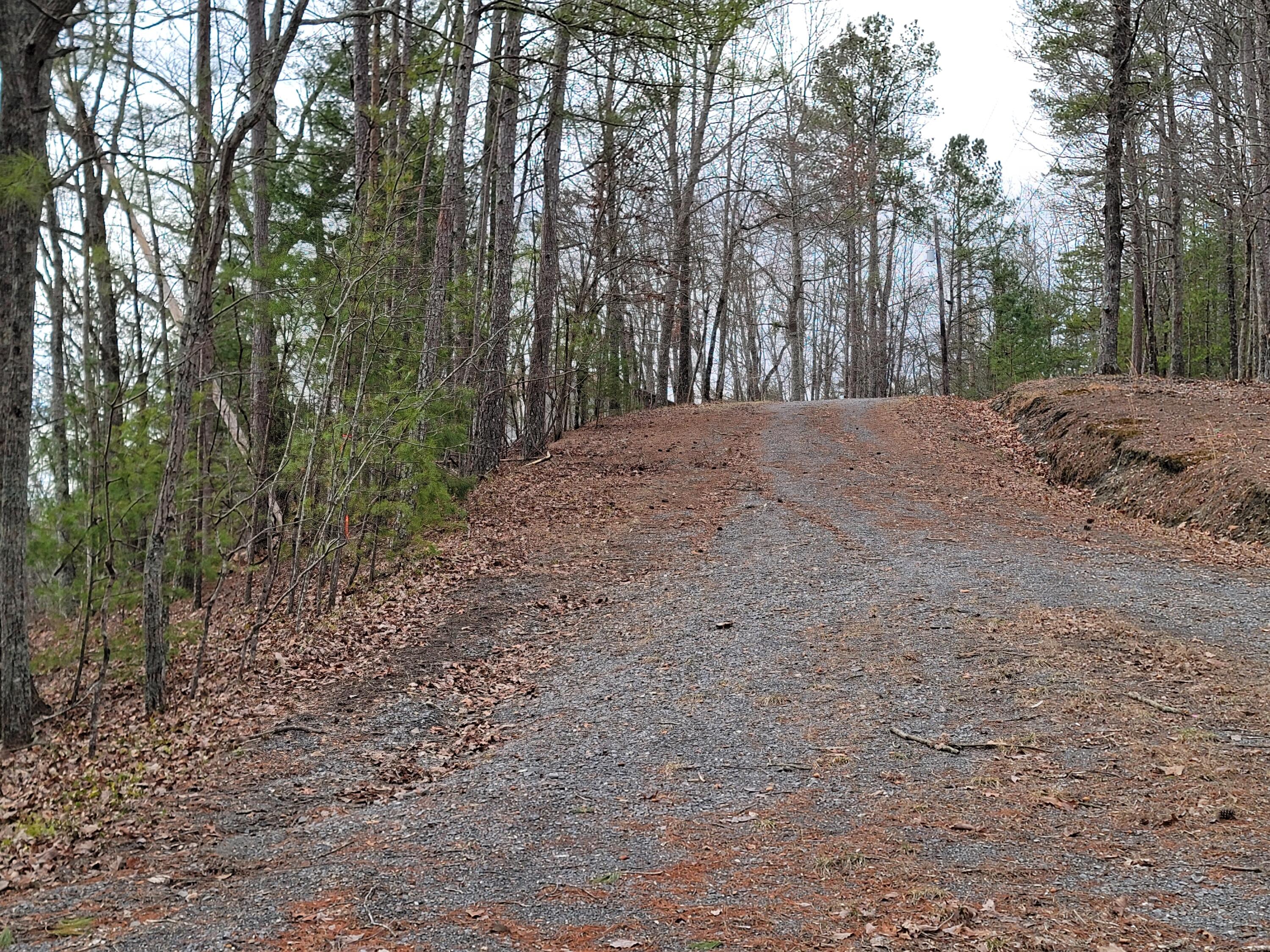 968 Raccoon Ridge Northeast Ranger, GA 30734 - Photo 2 of 15 20240220_094243