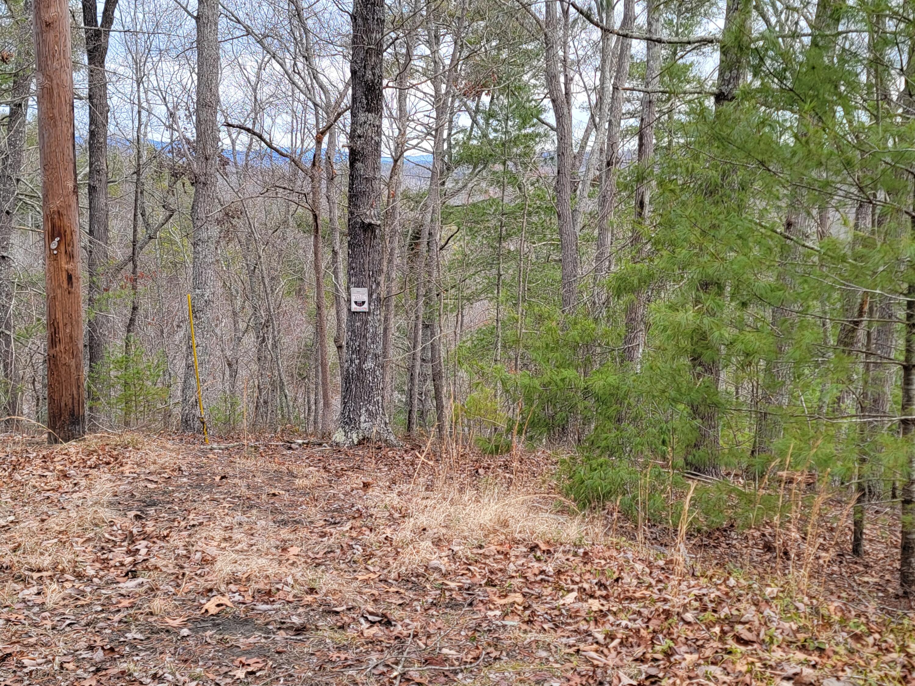 968 Raccoon Ridge Northeast Ranger, GA 30734 - Photo 3 of 15 20240220_094250