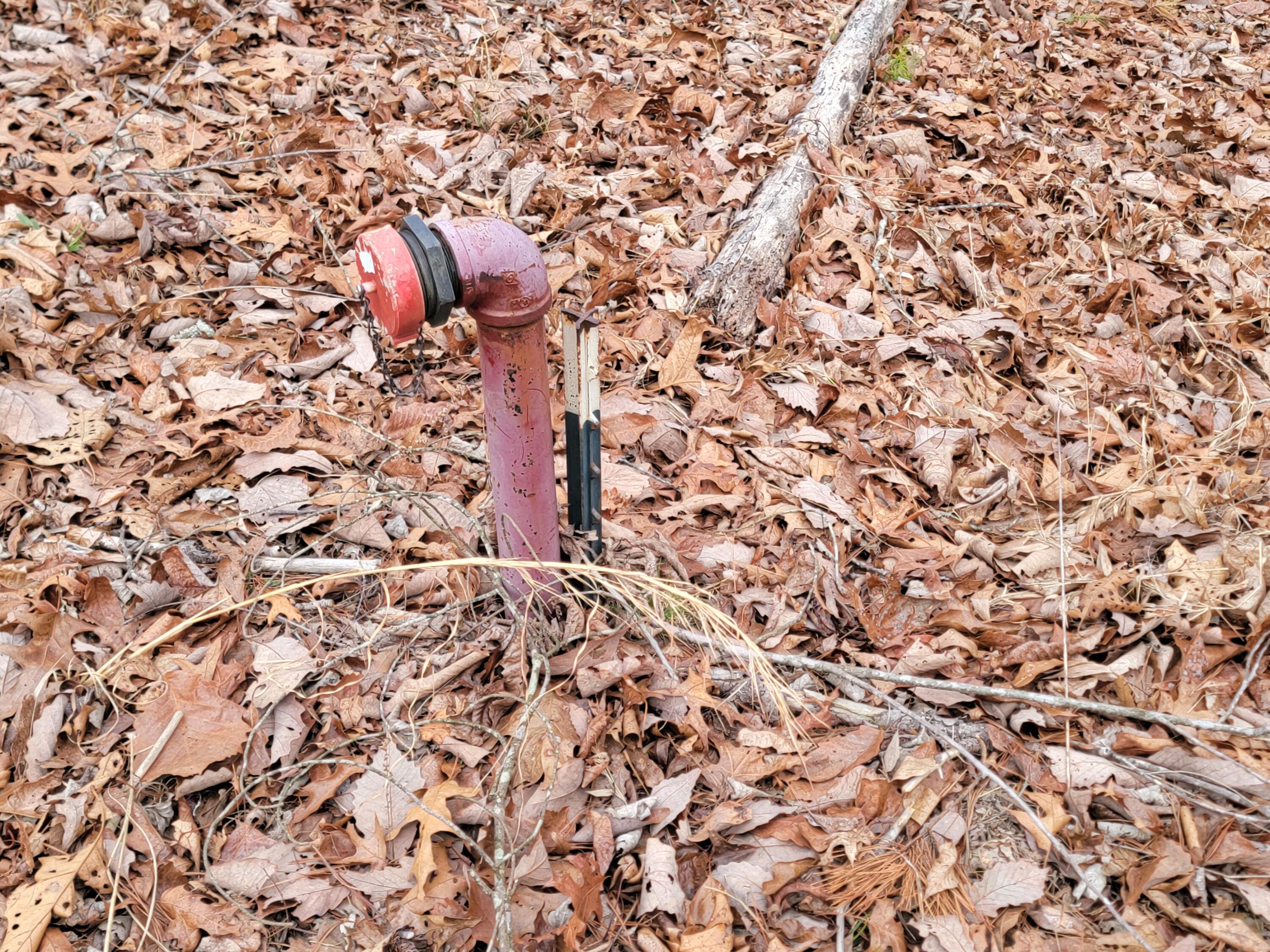 968 Raccoon Ridge Northeast Ranger, GA 30734 - Photo 4 of 15 20240220_094346