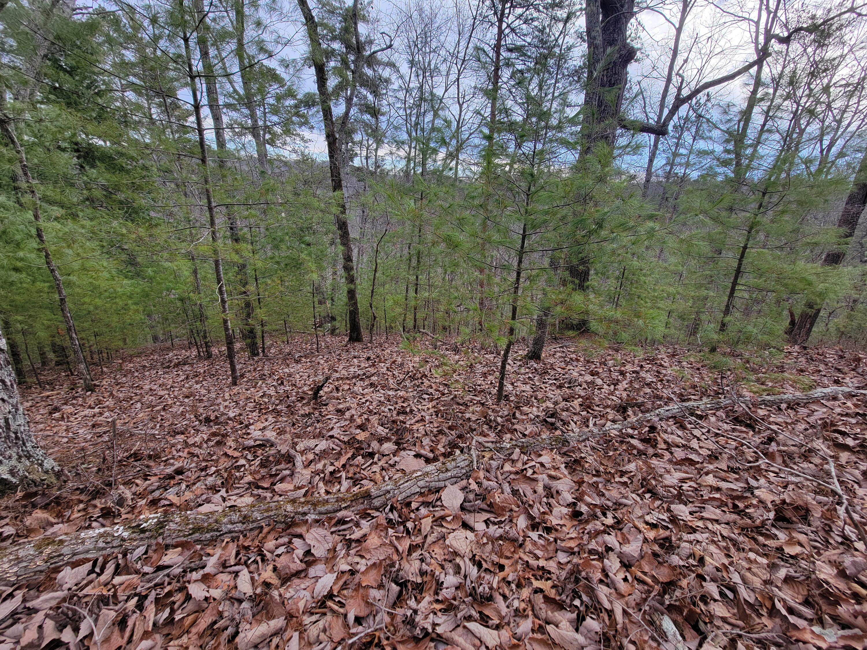 968 Raccoon Ridge Northeast Ranger, GA 30734 - Photo 6 of 15 20240220_094500