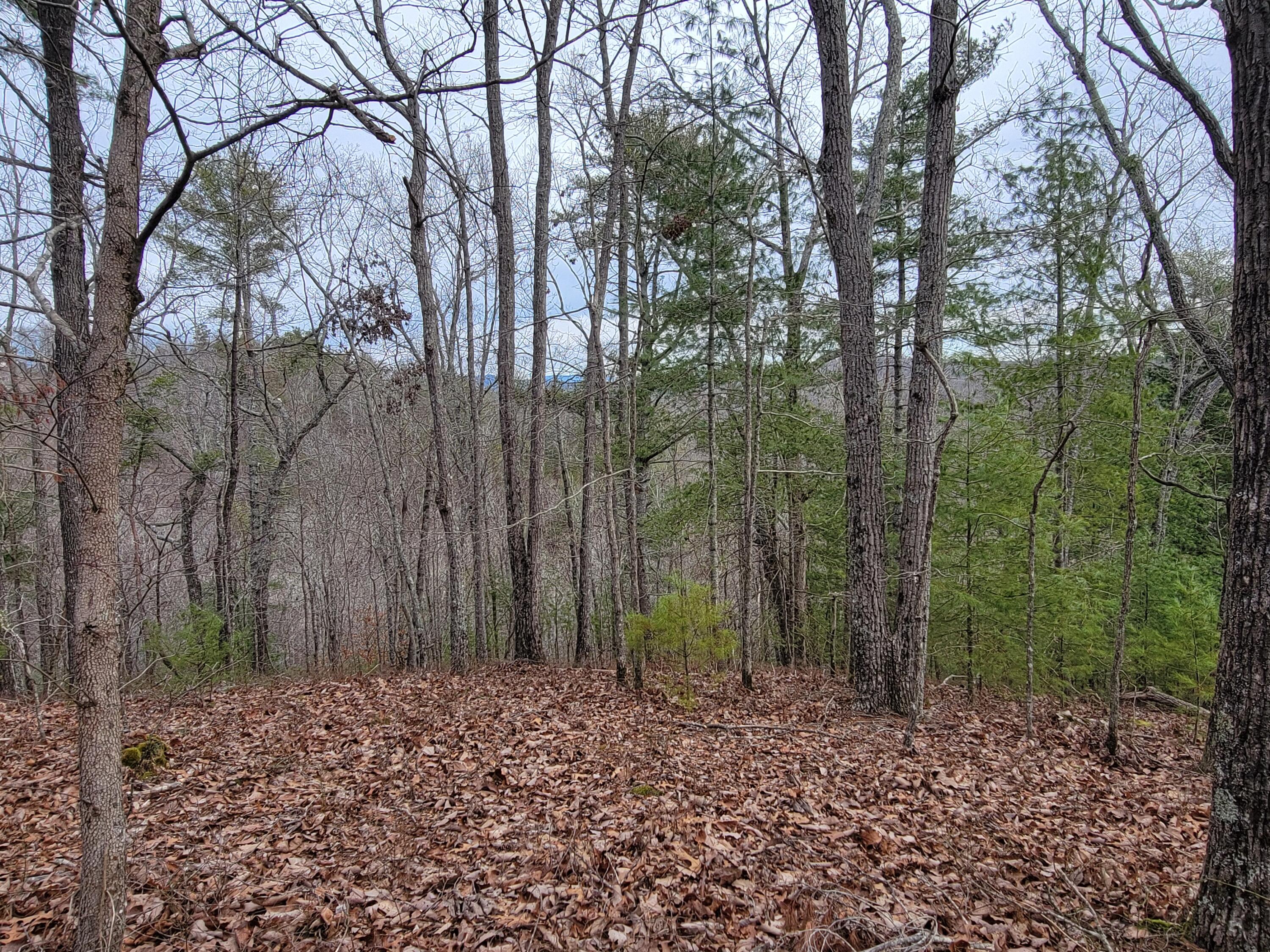 968 Raccoon Ridge Northeast Ranger, GA 30734 - Photo 9 of 15 20240220_094707