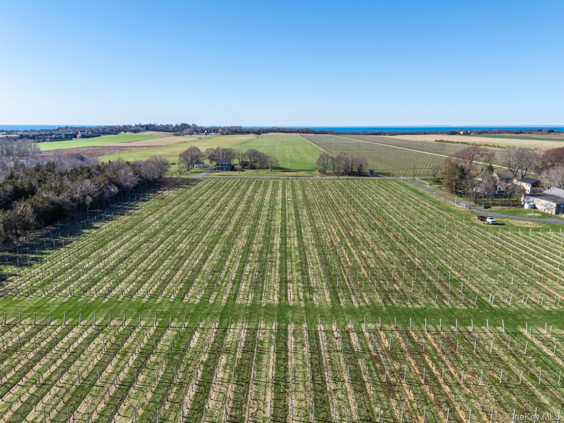 4100 Oregon Road Cutchogue, NY 11935 - Photo 11 of 17 a view of lake view and mountain view