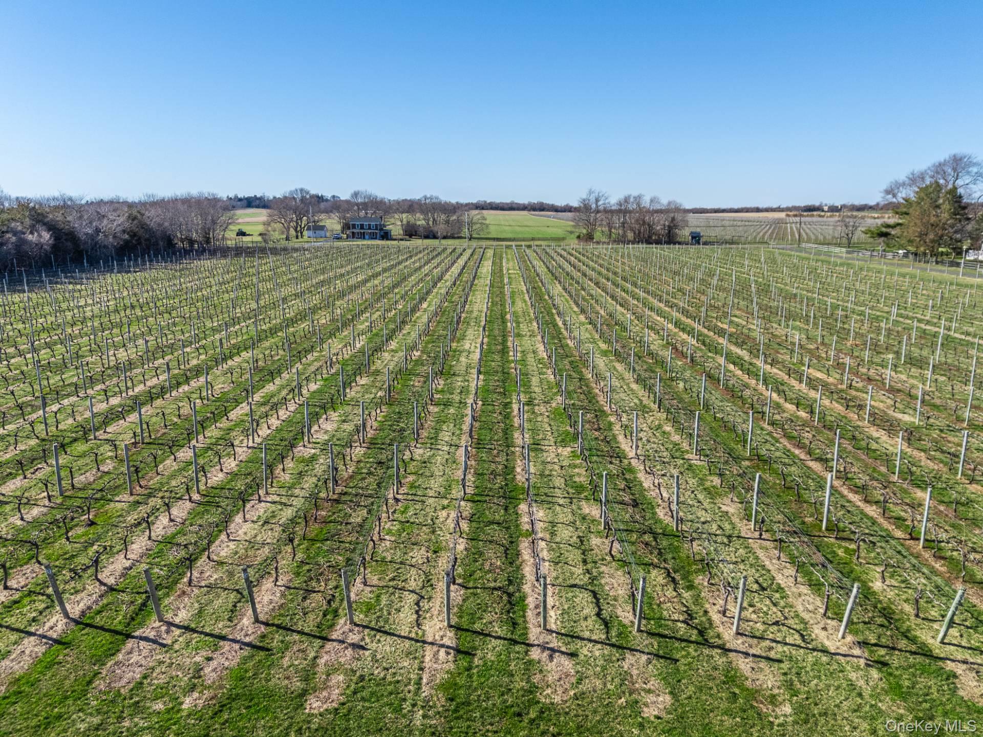 4100 Oregon Road Cutchogue, NY 11935 - Photo 12 of 17 a view of a city