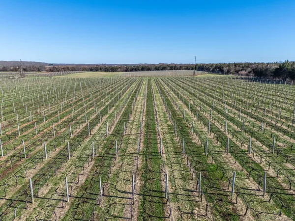 a view of a field with an ocean