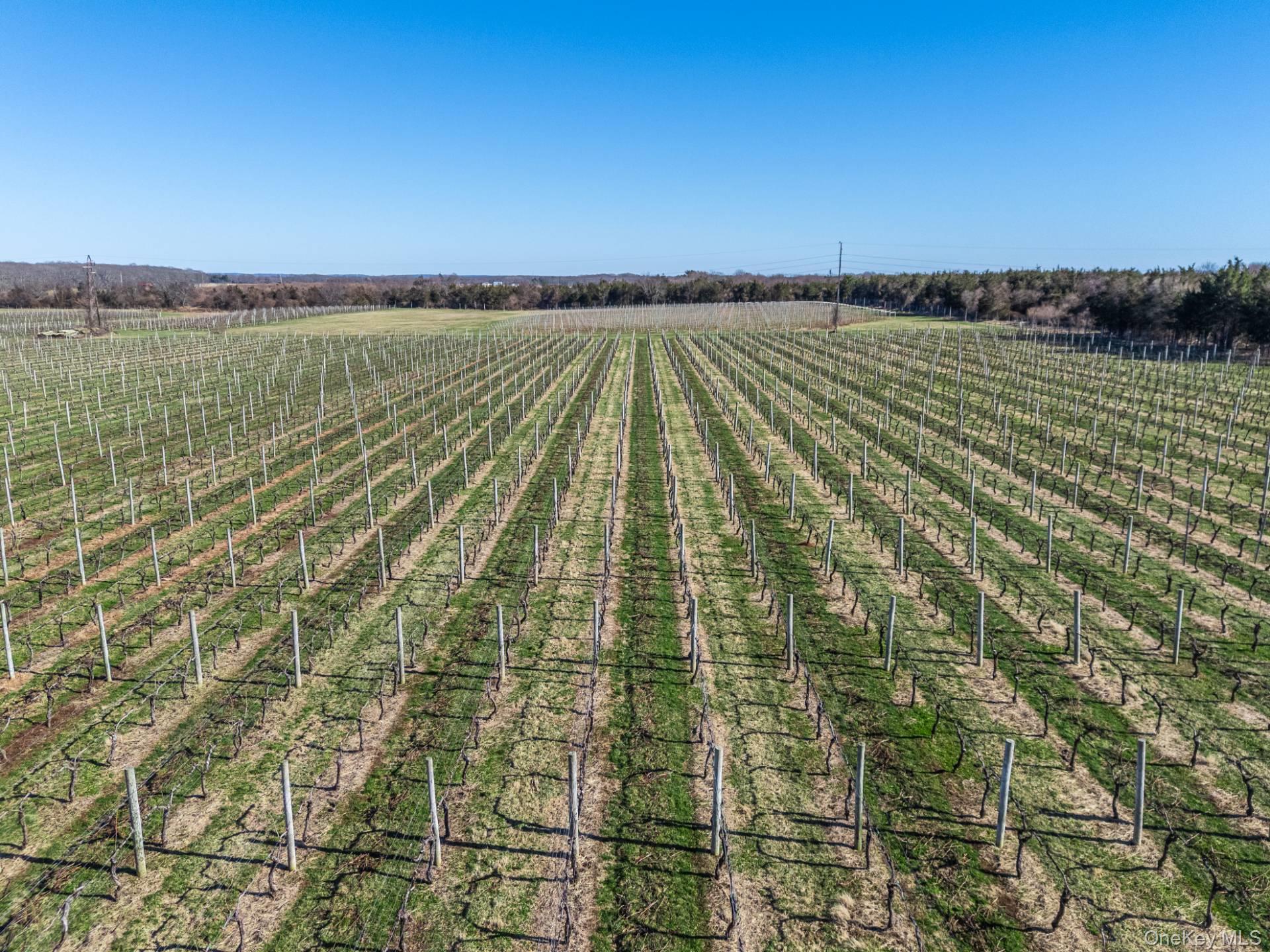 4100 Oregon Road Cutchogue, NY 11935 - Photo 13 of 17 a view of an ocean
