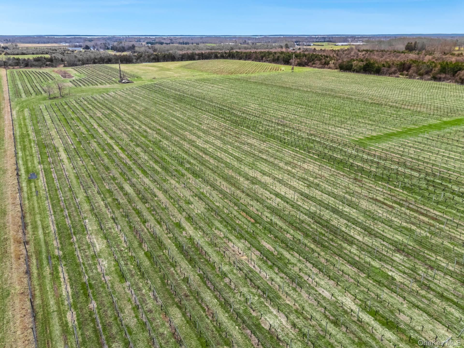 4100 Oregon Road Cutchogue, NY 11935 - Photo 14 of 17 a view of a field with an ocean