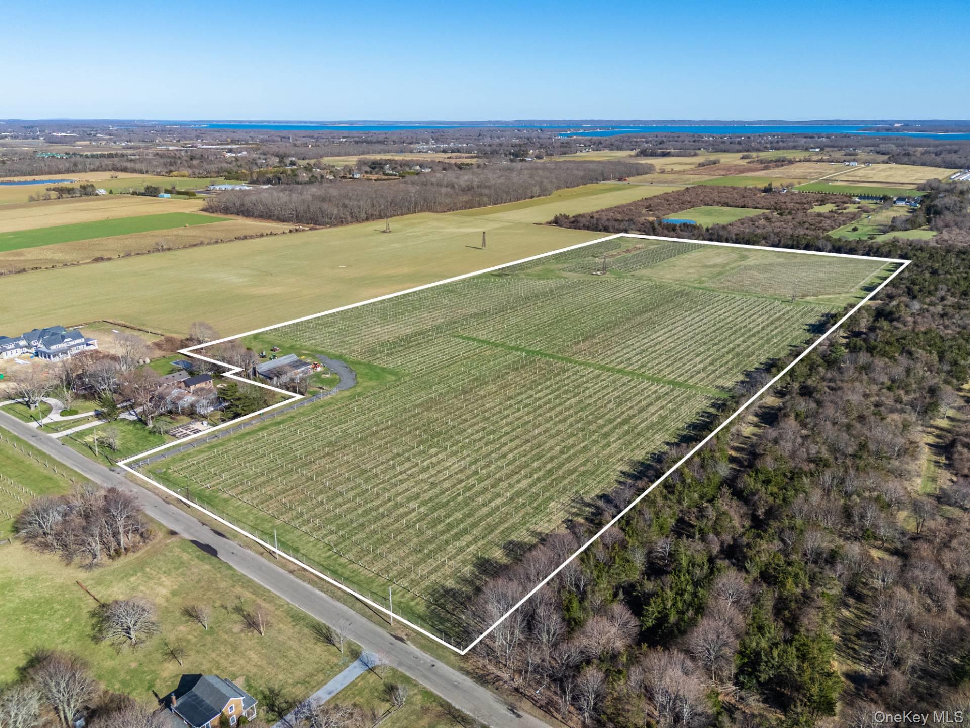 4100 Oregon Road Cutchogue, NY 11935 - Photo 4 of 17 a view of an outdoor space and near an ocean