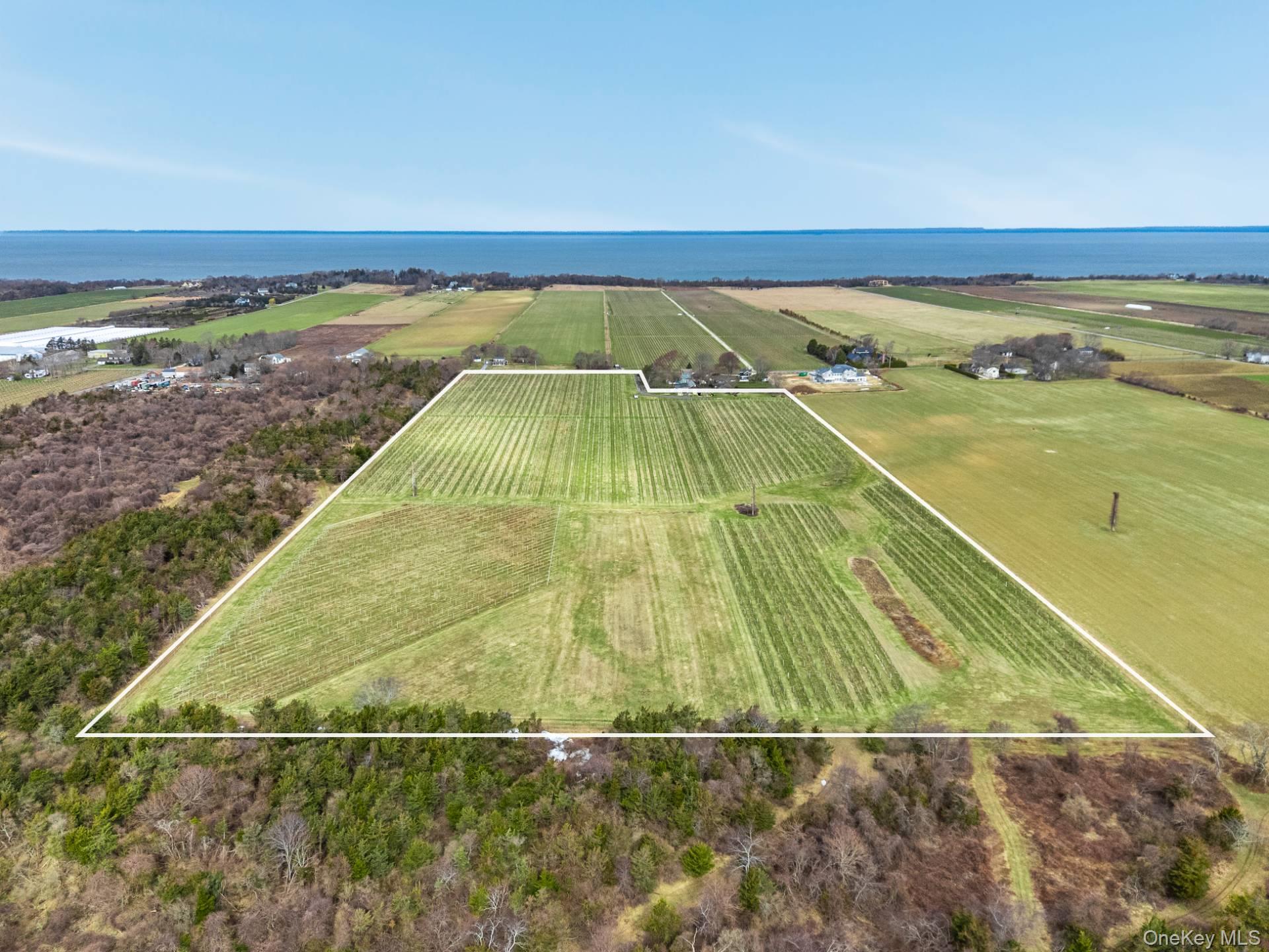 4100 Oregon Road Cutchogue, NY 11935 - Photo 5 of 17 a view of an ocean