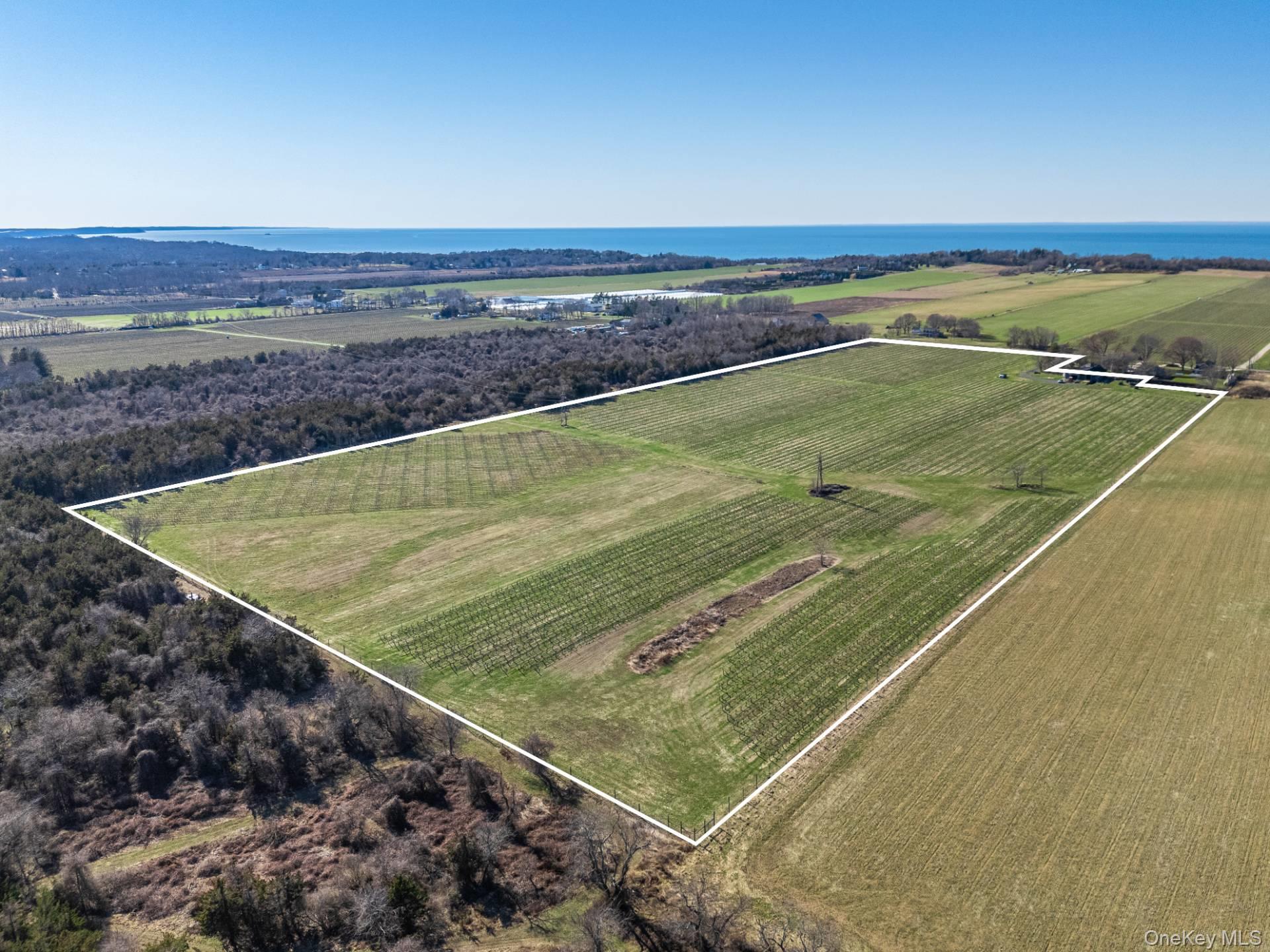 4100 Oregon Road Cutchogue, NY 11935 - Photo 9 of 17 a view of a tennis court