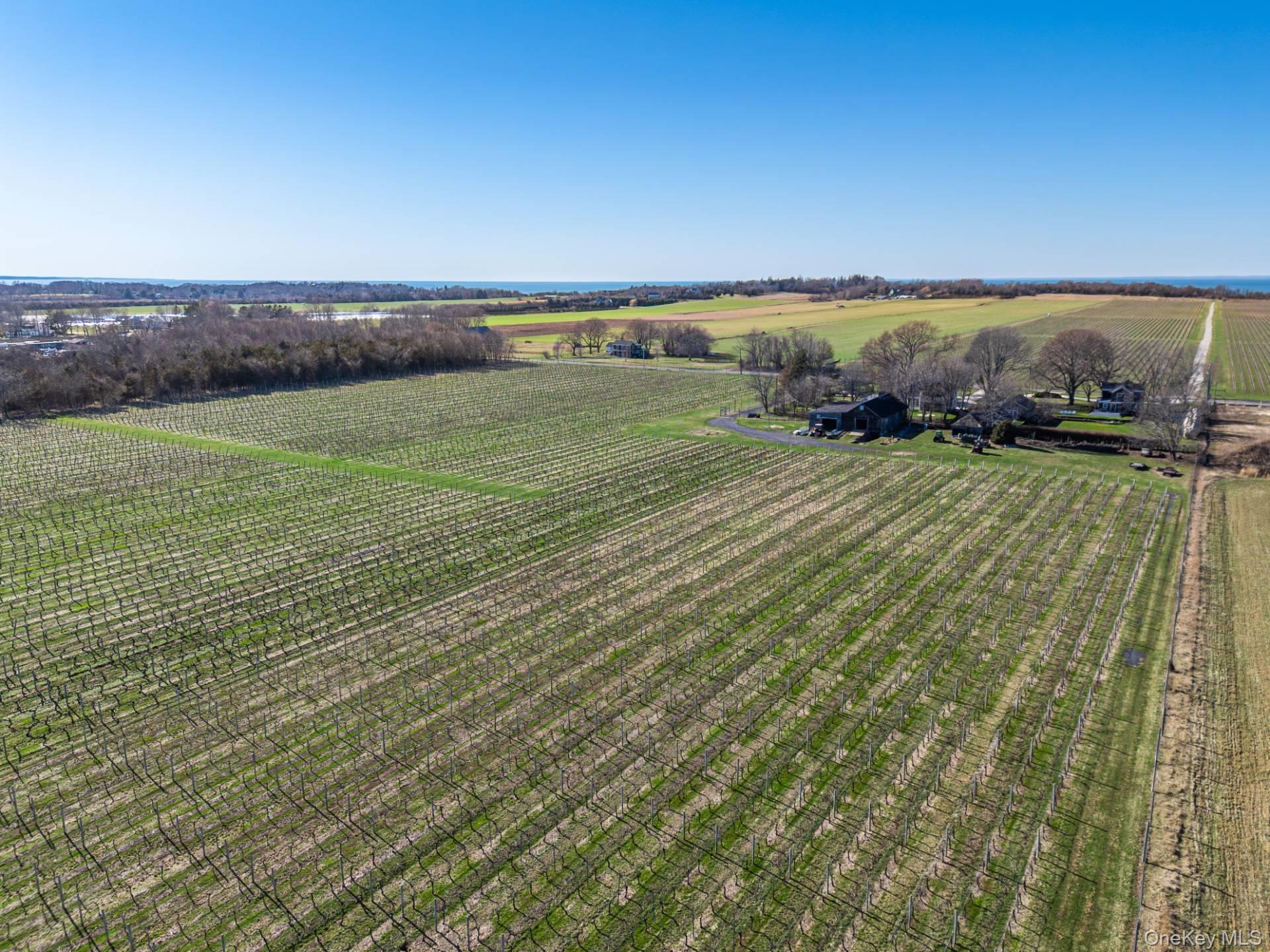 4100 Oregon Road Cutchogue, NY 11935 - Photo 10 of 17 a view of a swimming pool and an outdoor space