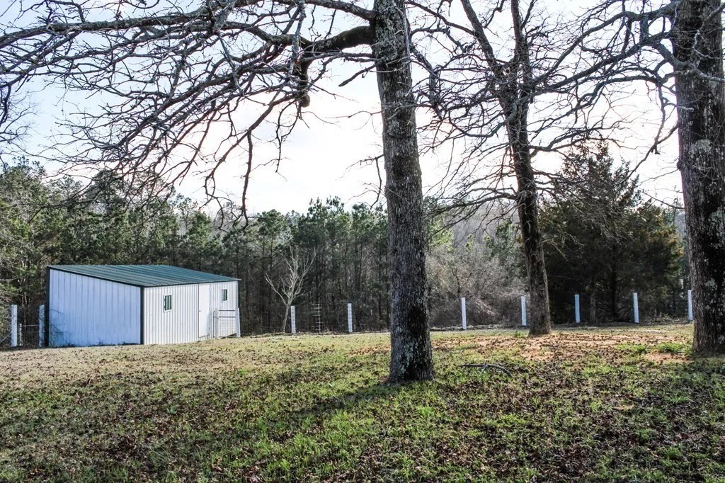 331 County Road 108 Center, TX 75935 - Photo 4 of 50