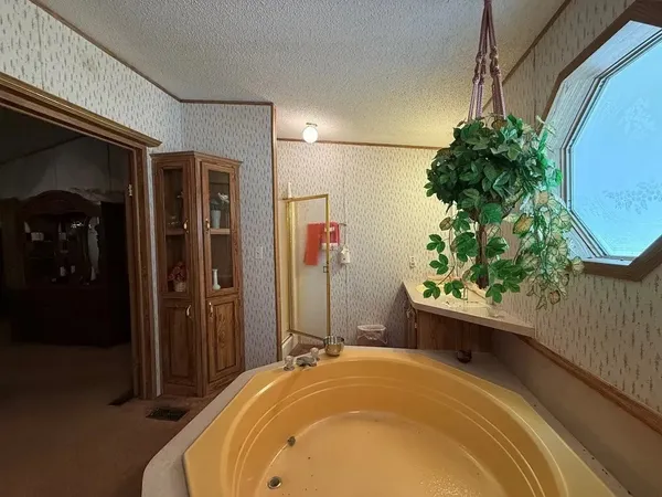 a living room with furniture a ceiling fan and a window